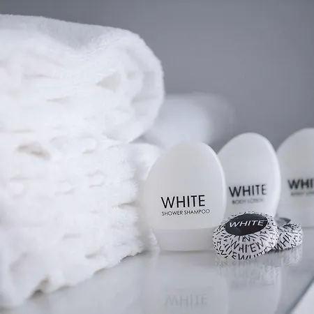 Lion Blanc Hotell
