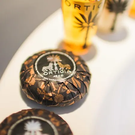 Lion Blanc Saint-Tropez