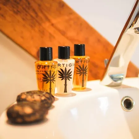 Lion Blanc Hotel Saint-Tropez