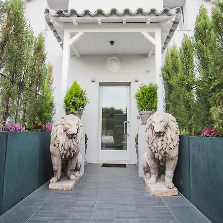 Lion Blanc Saint-Tropez