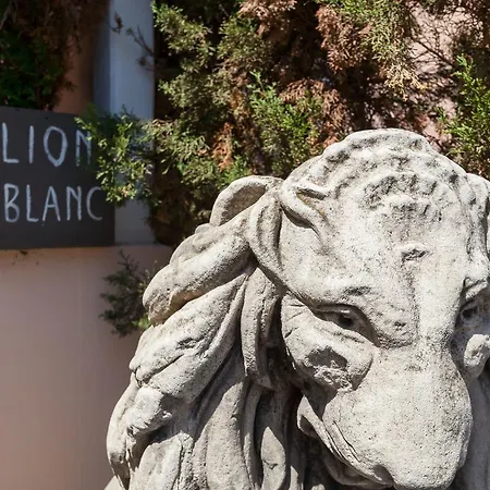 Hotel Lion Blanc 3*