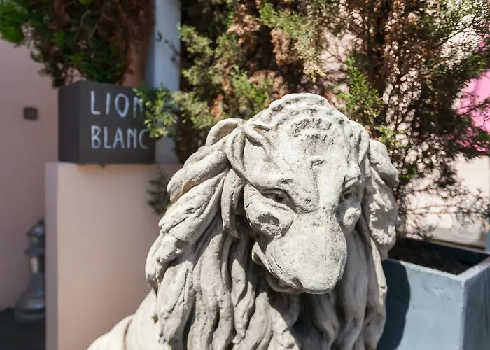 Lion Blanc 3*